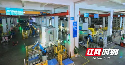 打卡 浙 里共富老板電器 未來工廠 蘊(yùn)藏著奔向共同富裕新動(dòng)能