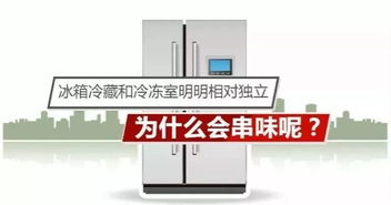 如何解決冰箱串味困擾？中國家用電器研究院專家有話說